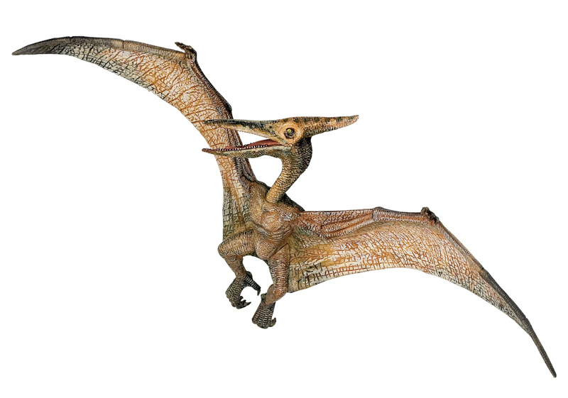 *NEW* PAPO 55006 Pteranodon Dinosaur Model 24cm Length | eBay