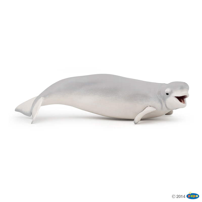 beluga whale doll